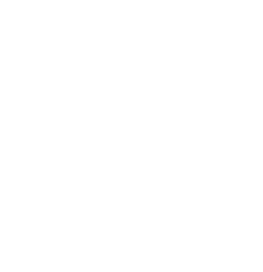 1776196064_legal500_white_transparent.png